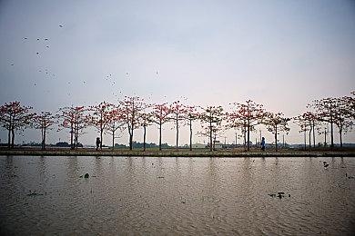 免费韩游《第一后裔》DLSS3对比演示 美女翘臀吸睛